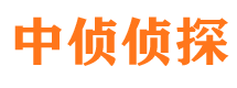 安阳找人公司